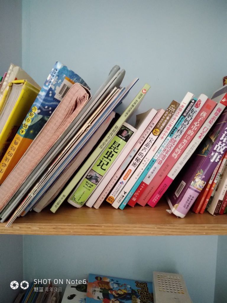 meizu note6 cam sample (16)