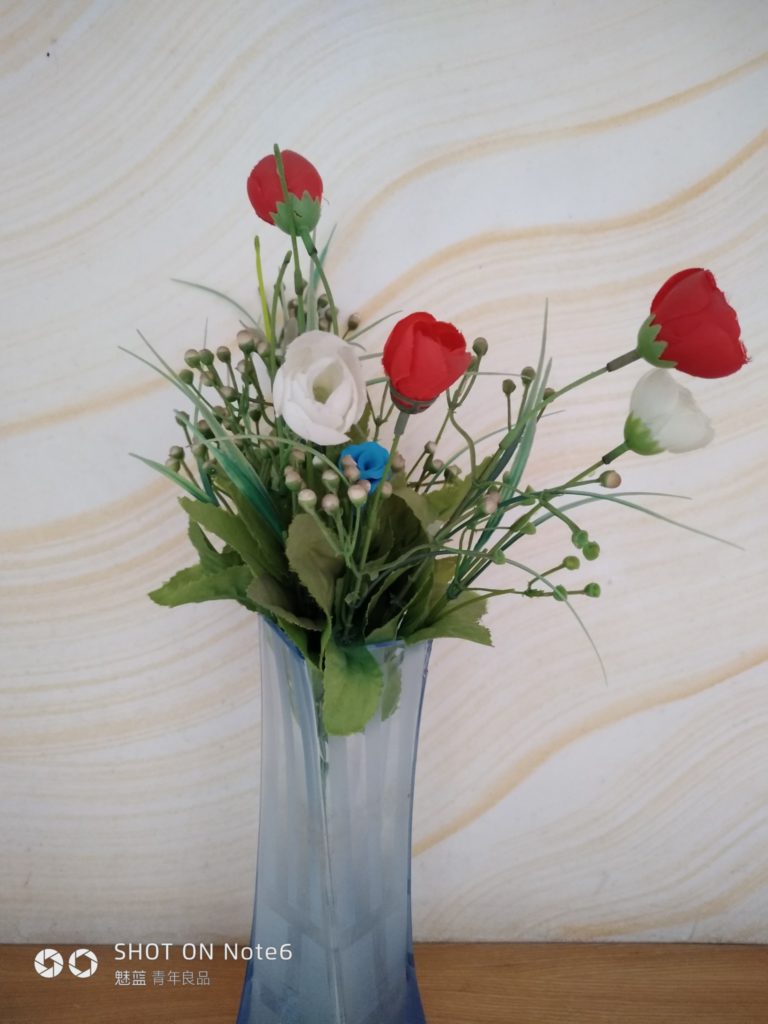 meizu note6 cam sample (17)