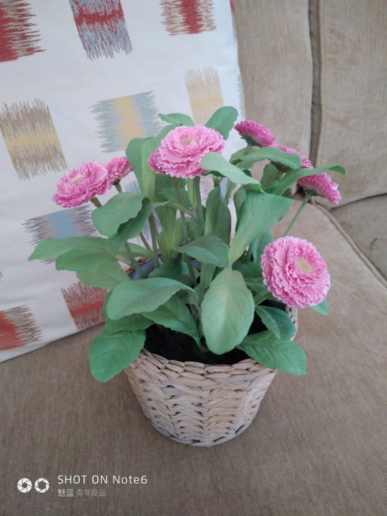 meizu note6 cam sample (18)