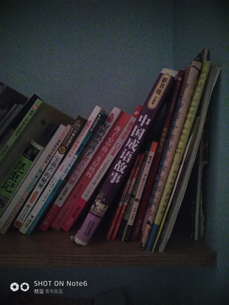 meizu note6 cam sample (20)