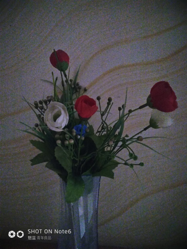 meizu note6 cam sample (21)