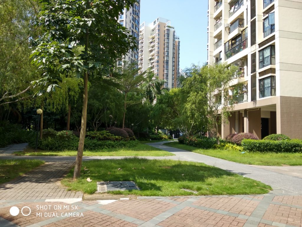 mi 5x cam sample (10)