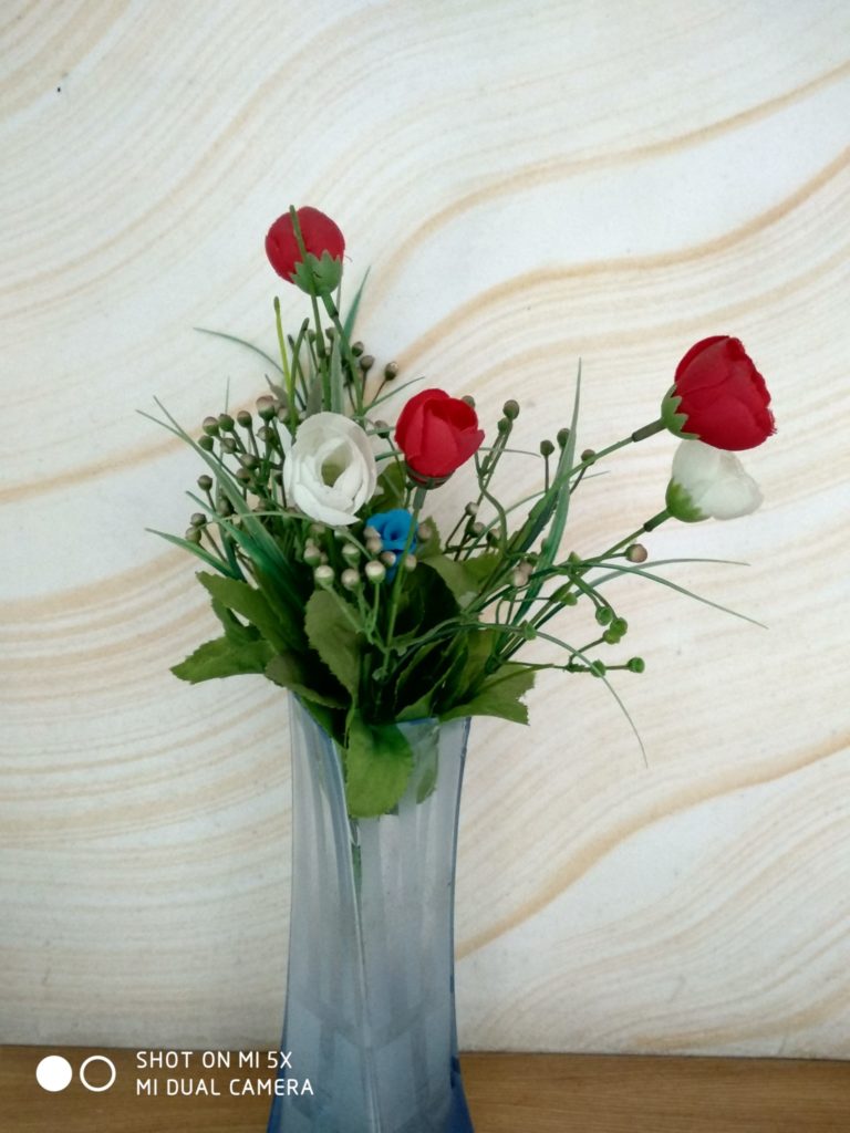 mi 5x cam sample (18)