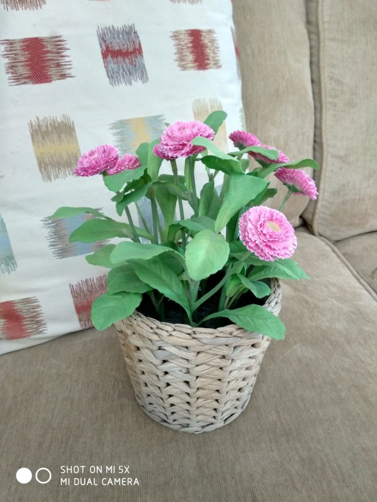 mi 5x cam sample (19)