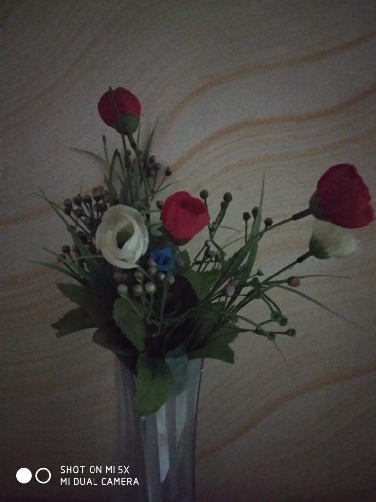 mi 5x cam sample (22)