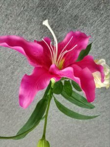 xiaomi mi mix 2 cam samples (1)