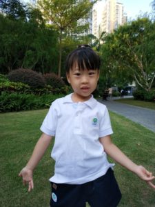 xiaomi mi mix 2 cam samples (11)