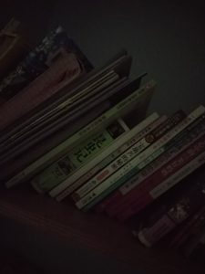 xiaomi mi mix 2 cam samples (7)