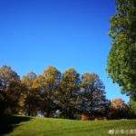 Huawei Mate 10 Camera Sample