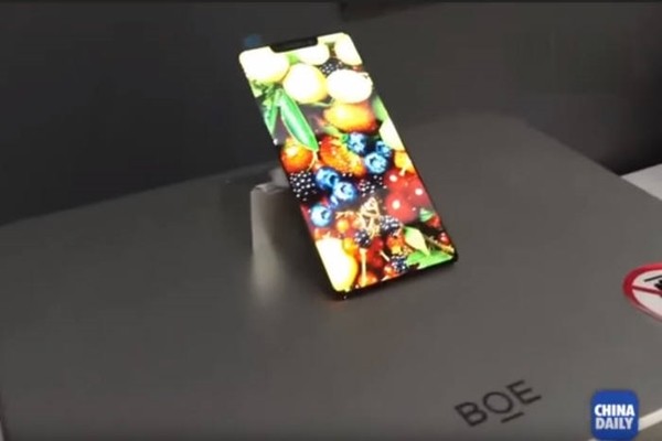 BOE's iPhone X-like OLED panel