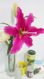 jesy j9s camera sample