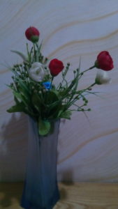 jesy j9s camera sample