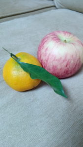 jesy j9s camera sample