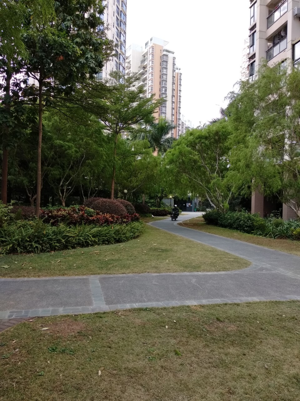 camera 2 api redmi 5 plus