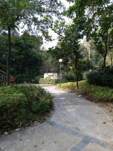 Meizu M6s Camera Sample 22