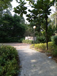 Meizu M6s Camera Sample 21