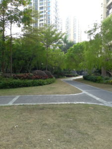 Meizu M6s Camera Sample 17