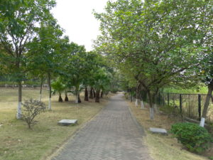 Meizu M6s Camera Sample 09