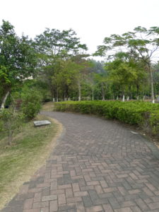 Meizu M6s Camera Sample 07