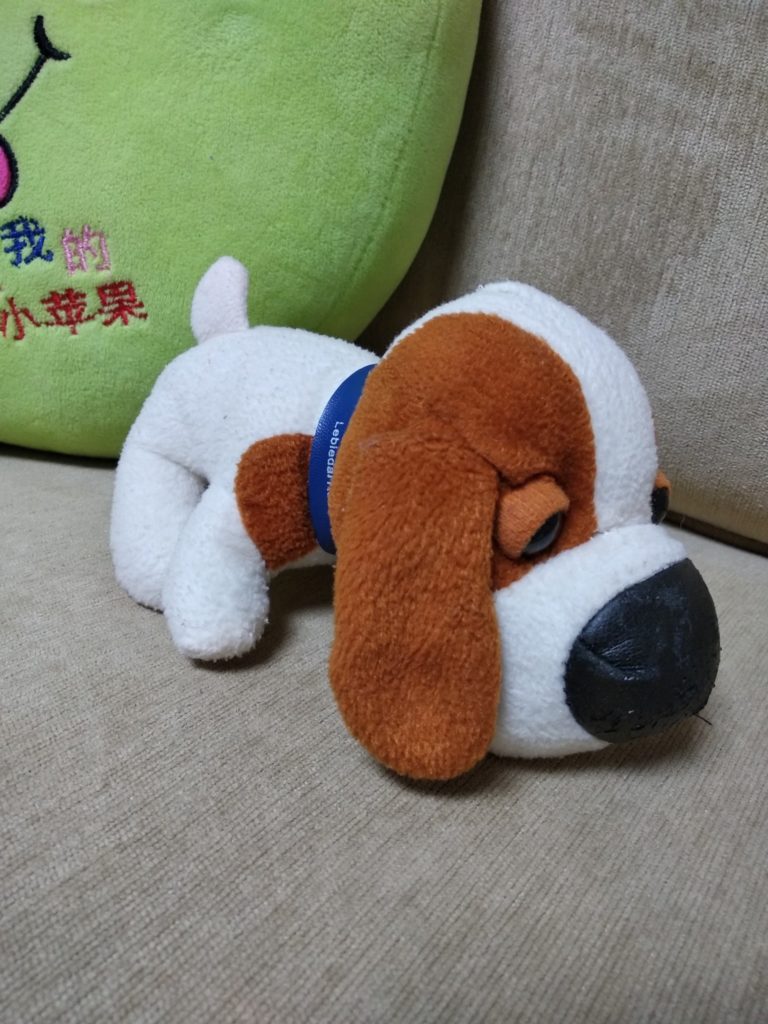 Redmi 5 Plus camera samples (15)