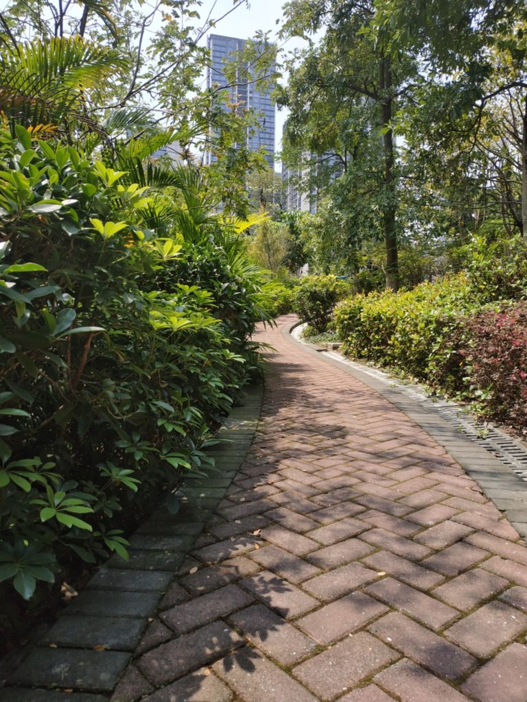 xiaomi redmi note 5 cam sample (6)