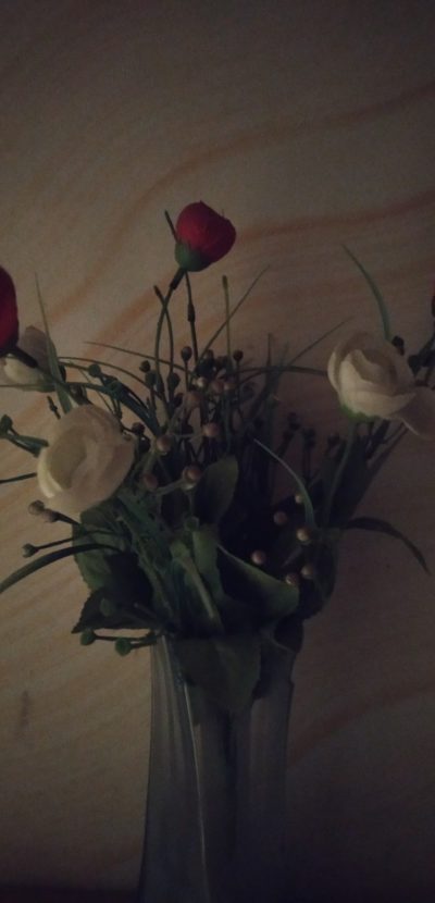 Redmi note 5 Low Light Sample