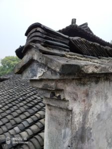Meizu 15 Camera Samples (16)