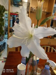 Meizu 15 Camera Samples (24)