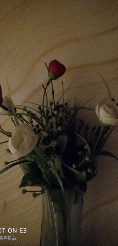 MEizu E3 Low Light Sample 01