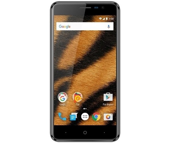 Vertex Impress Tiger