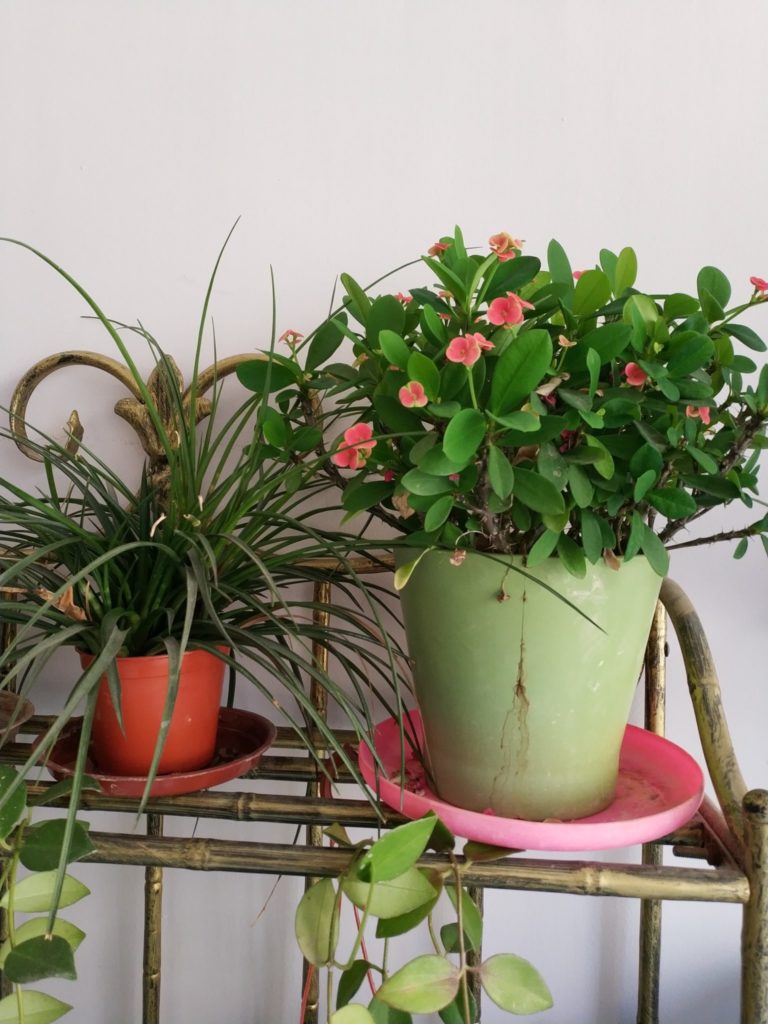 Xiaomi Mi Mix 2 Cam Sample (11)
