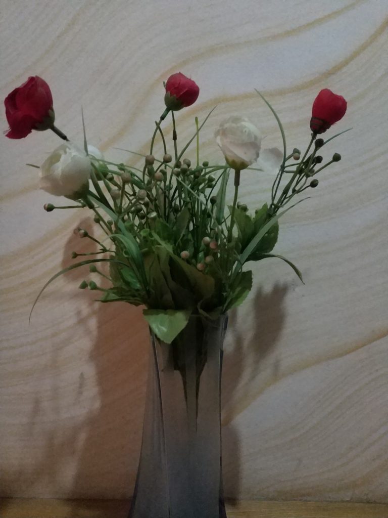 Xiaomi Mi Mix 2 Cam Sample (15)