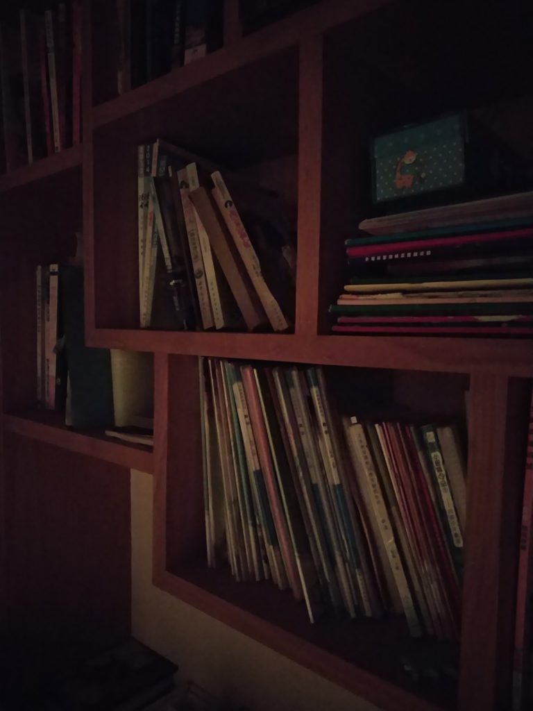 Xiaomi Mi Mix 2 Cam Sample (17)