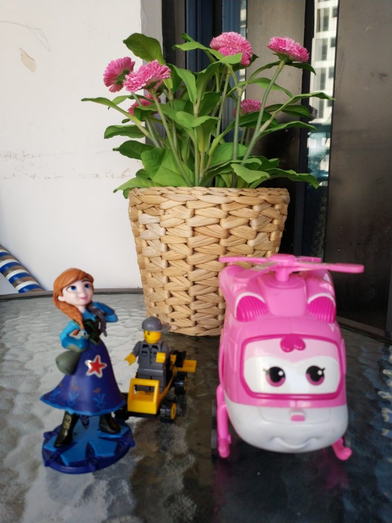 Xiaomi Mi Mix 2 Cam Sample (7)