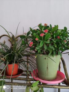xiaomi mi mix 2s cam sample (10)