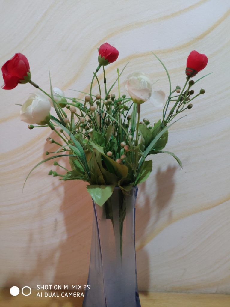 xiaomi mi mix 2s cam sample (15)