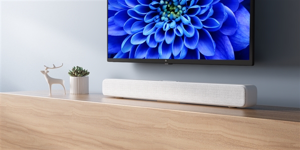 Xiaomi TV Speaker