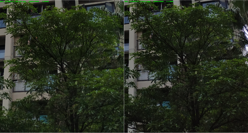 Mi 6X vs RN5 Dull Light 100 pc zoom