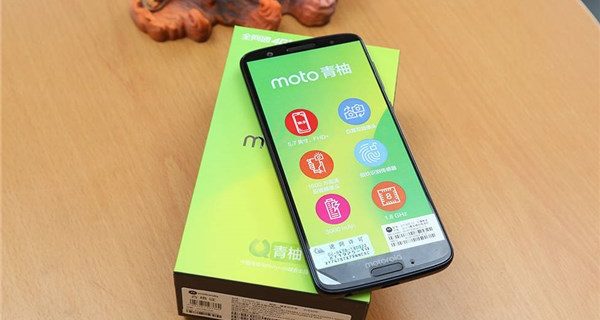 Moto Green Pomelo 1s