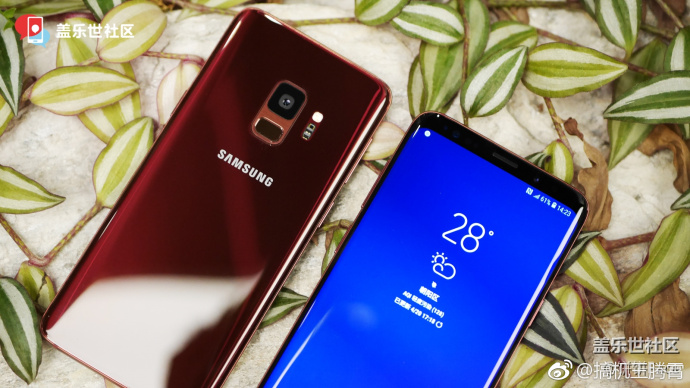 Samsung Galaxy S9 Burgundy Red variant