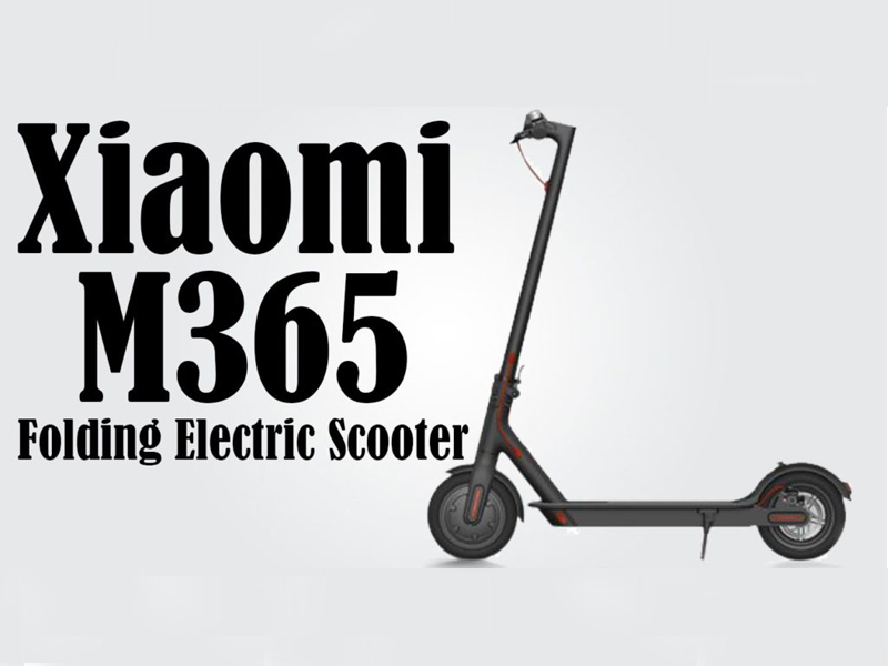 mi electric scooter price