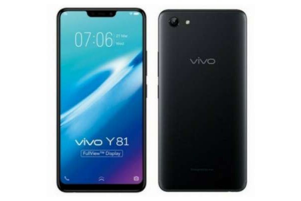 vivo y73 price