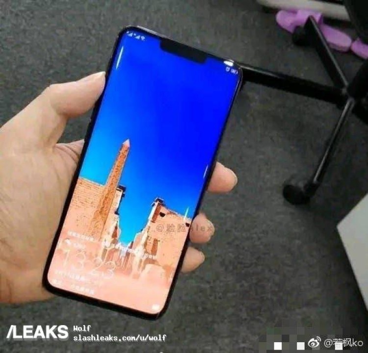 Alleged Huawei Mate 20 Pro real skin
