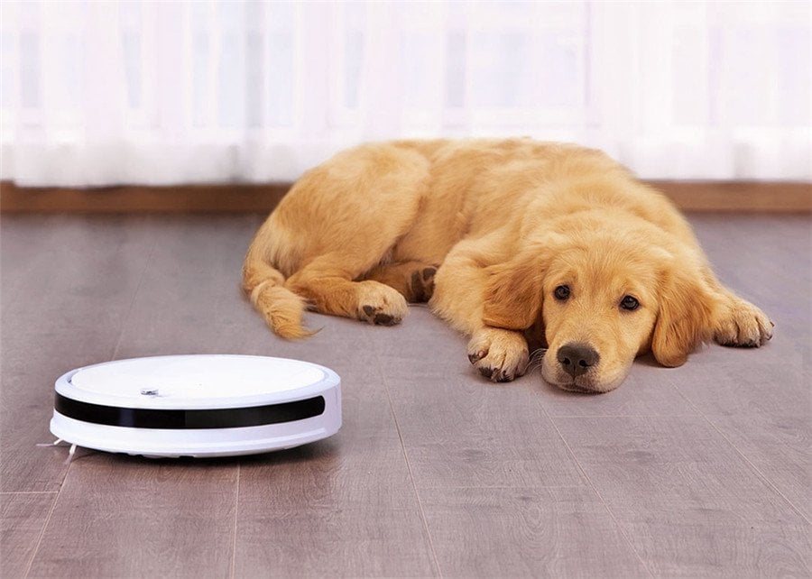 Buy Roborock Xiaowa lite C10200 Robotic Vacuum Cleaner For Just 219.