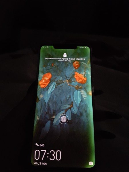 Huawei Mate 20 Pro Screen Bleeding Issue