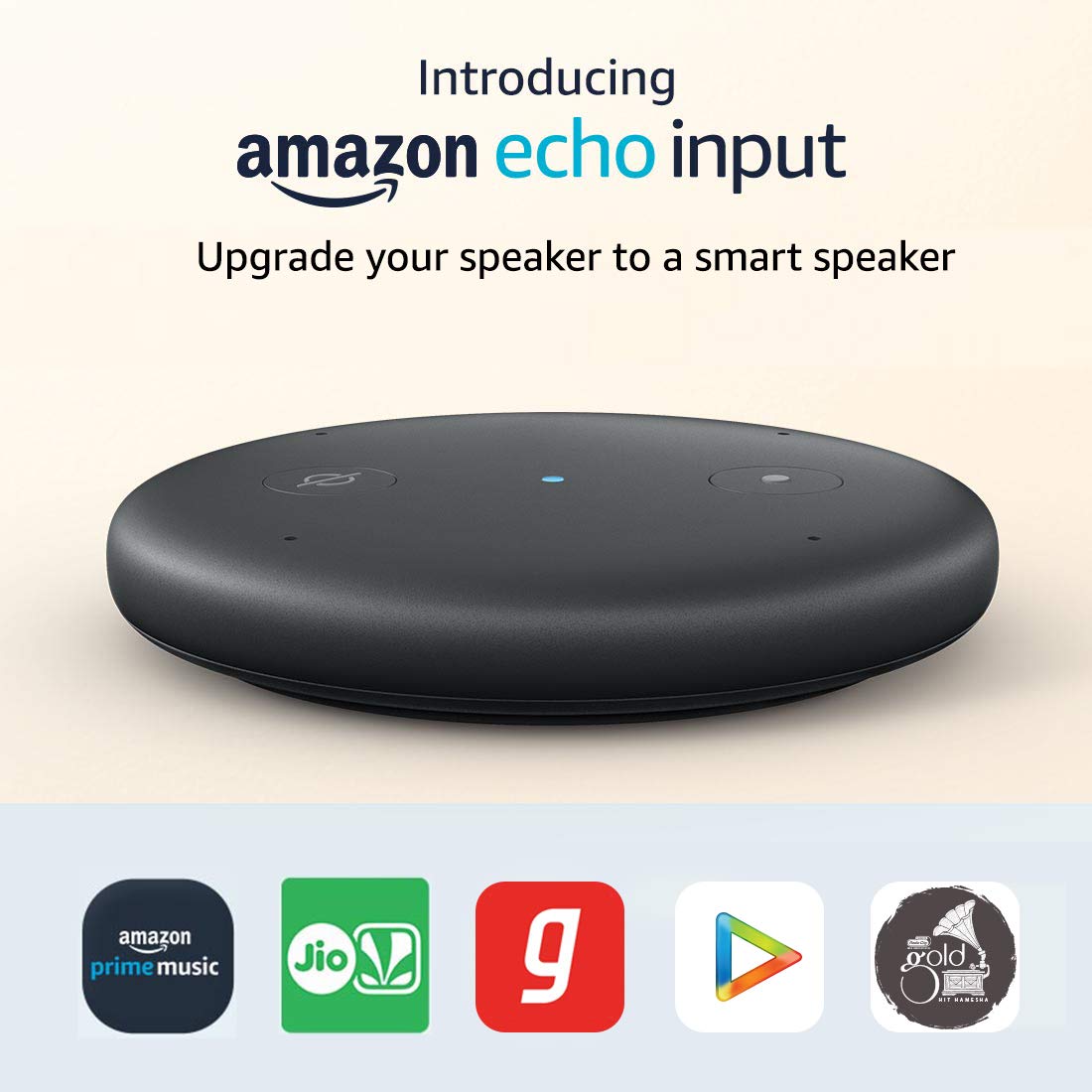 Echo Input