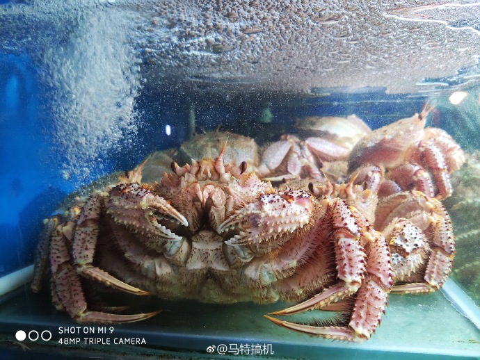Xiaomi Mi 9 camera sample