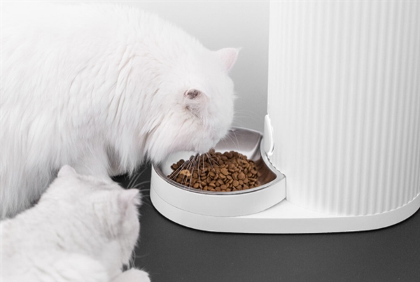 Furrytail Pet Smart Feeder