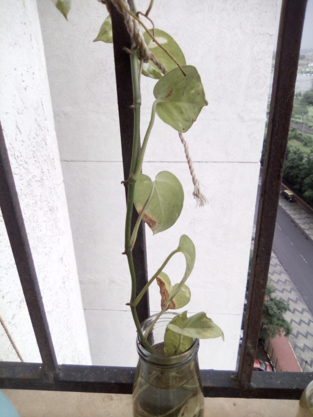 Chuwi HiPad LTE camera sample 02