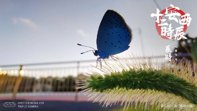 Nubia Z20 Camera Sample
